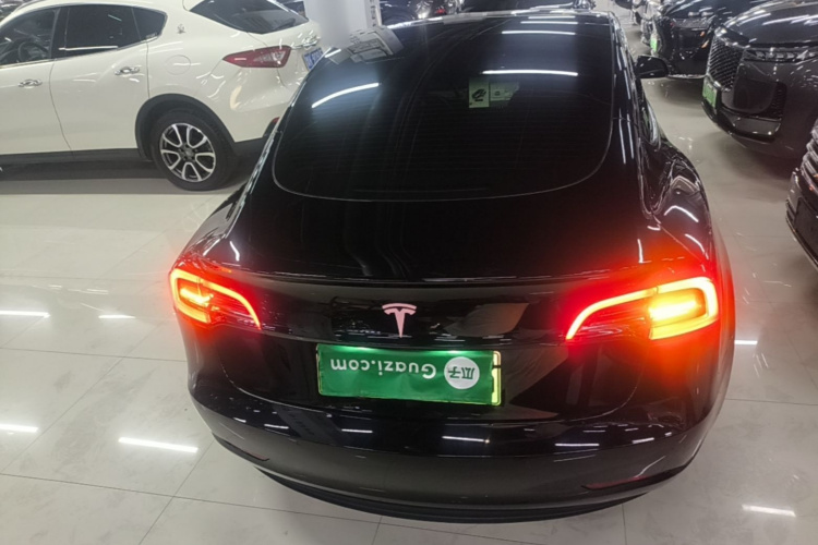 Tesla Model 3 2023 #6 Tesla Model 3 2023 car image #6