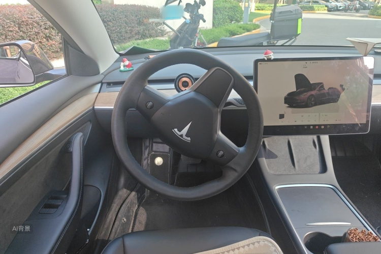 Tesla Model 3 2022 car image #12