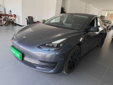 Tesla Model 3 2021 car image 