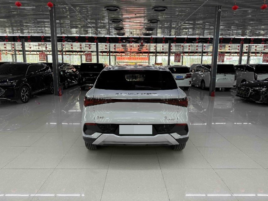 BYD Yuan Plus 2023 #8 BYD Yuan Plus 2023 immagine di auto #8