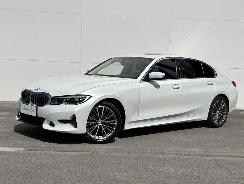 BMW 3 Series 2019 BMW 3 Series 2019 car image