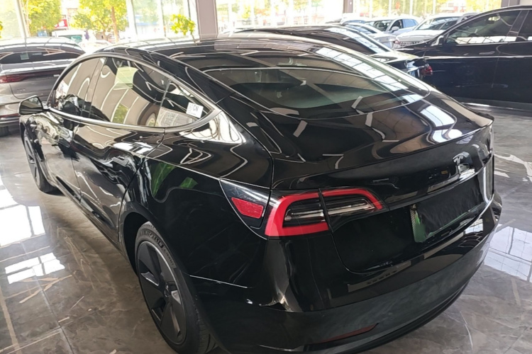 Tesla Model 3 2023 #5 Tesla Model 3 2023 car image #5