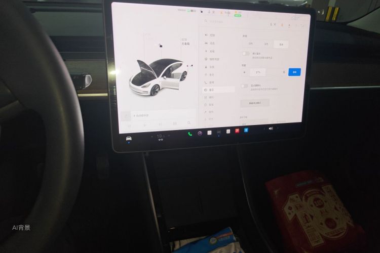 Tesla Model 3 2020 car image #16