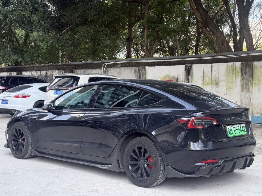 Tesla Model 3 2022 #6 Tesla Model 3 2022 car image #6