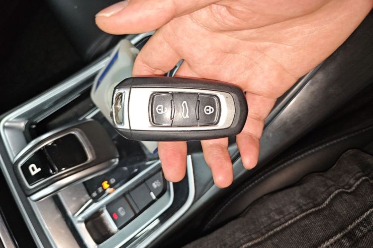 GEELY Emgrand New Energy 2021 car image #9