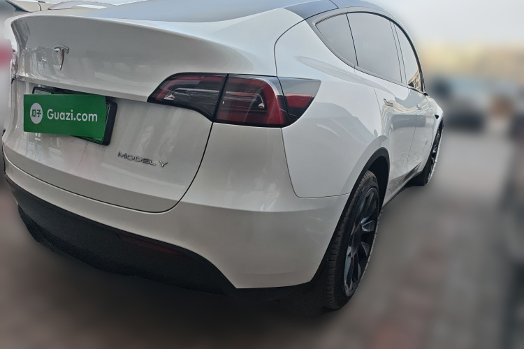 Tesla Model Y 2024 car image #7