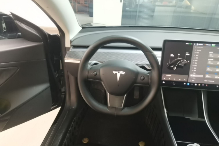 Tesla Model 3 2020 #15 Tesla Model 3 2020 car image #15