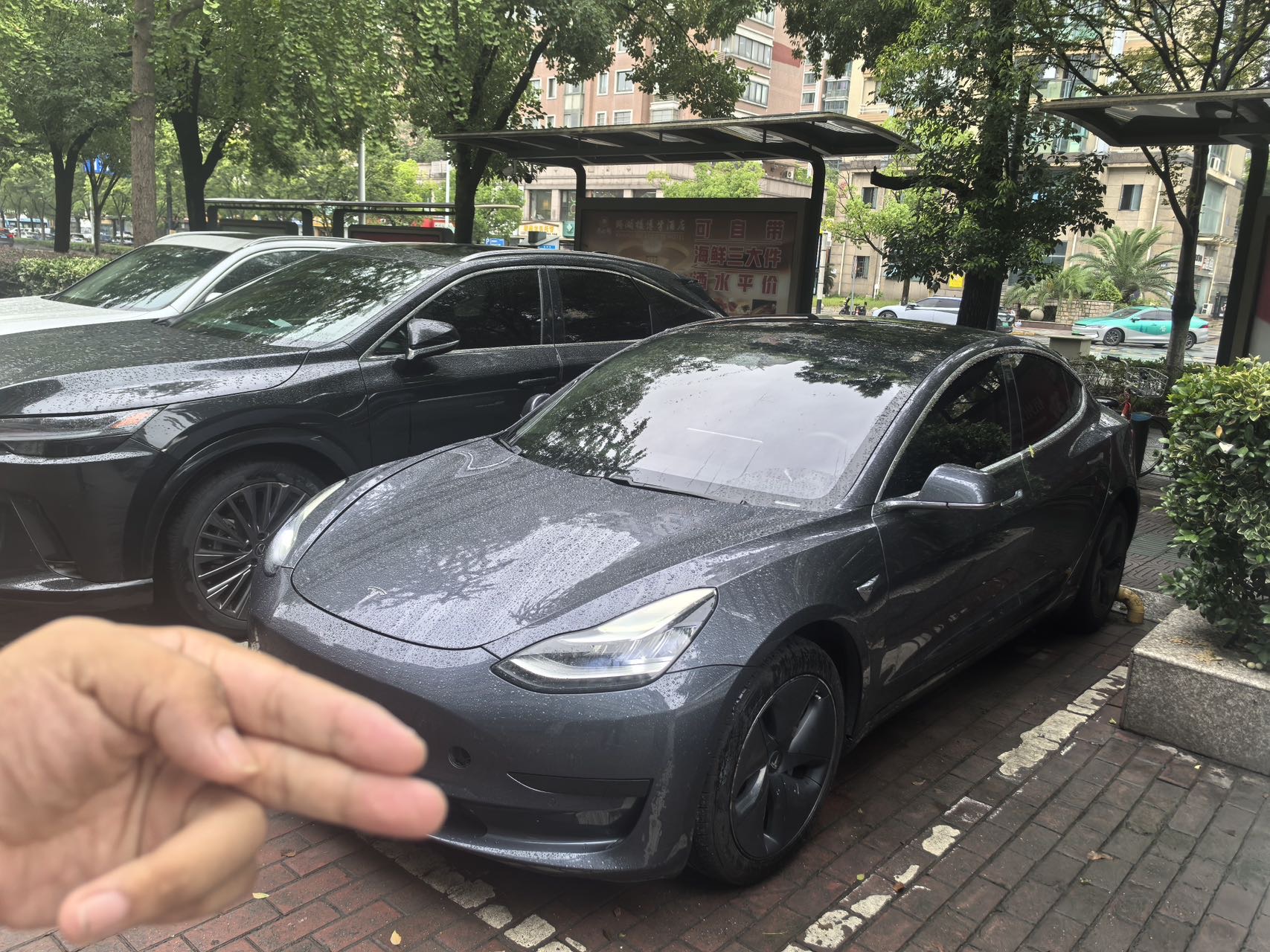 Tesla Model 3 2020 Tesla Model 3 2020 car image