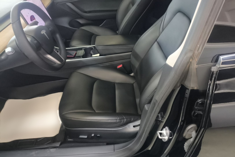 Tesla Model 3 2020 car image #15
