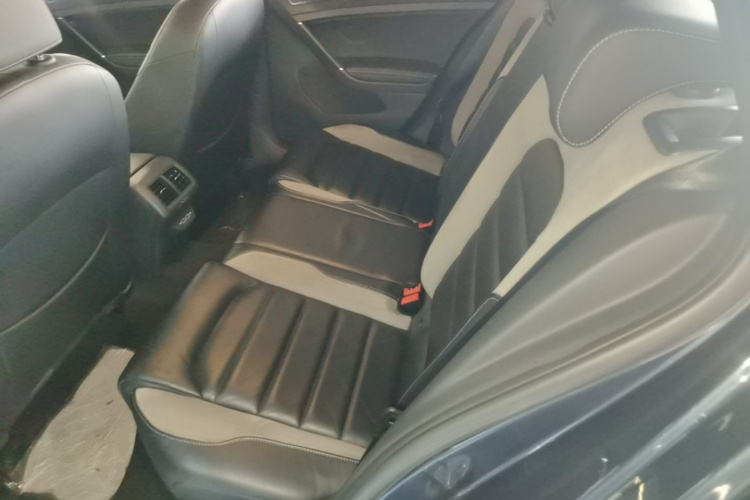 Volkswagen Golf 2019 car image #13