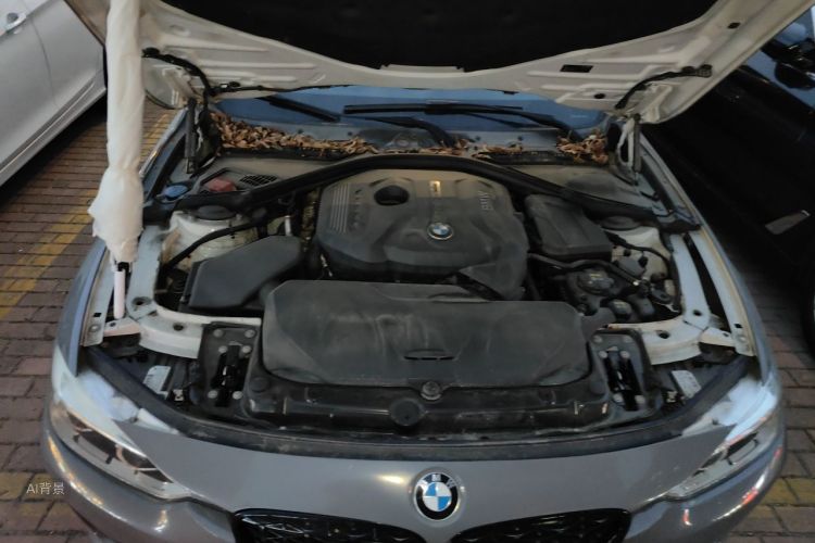 BMW 3 Series 2017 car image #22