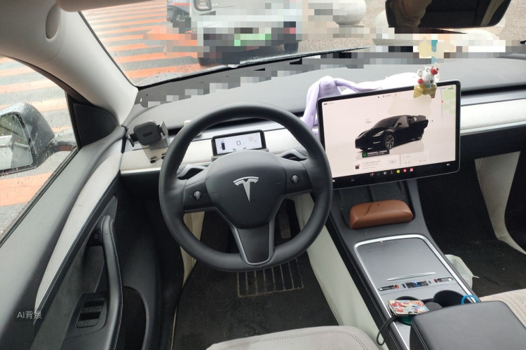 Tesla Model Y 2024 car image #12