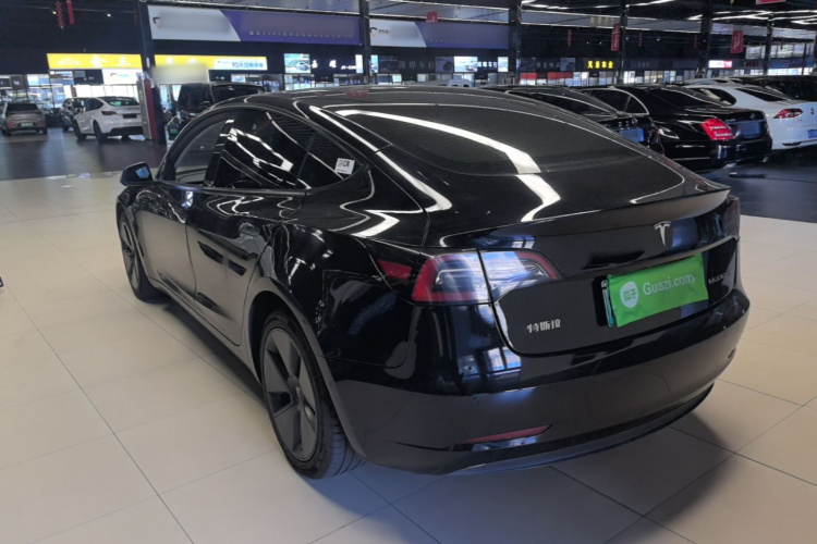 Tesla Model 3 2021 car image #5