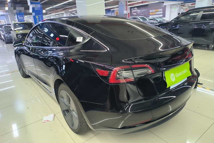 Tesla Model 3 2022 #5 Tesla Model 3 2022 car image #5