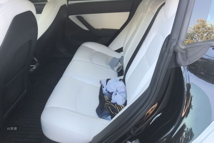 Tesla Model 3 2020 #19 Tesla Model 3 2020 car image #19