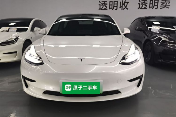 Tesla Model 3 2020 car image #3