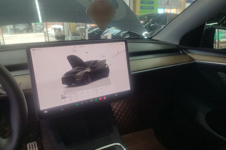 Tesla Model Y 2022 car image #10