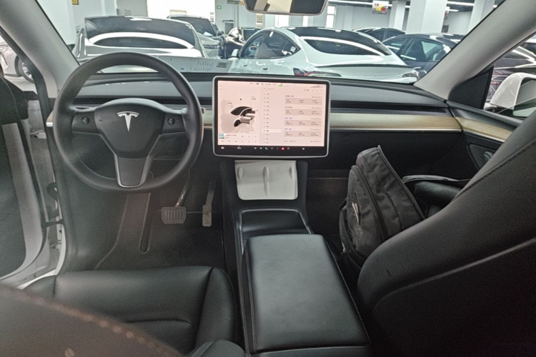 Tesla Model Y 2023 car image #10
