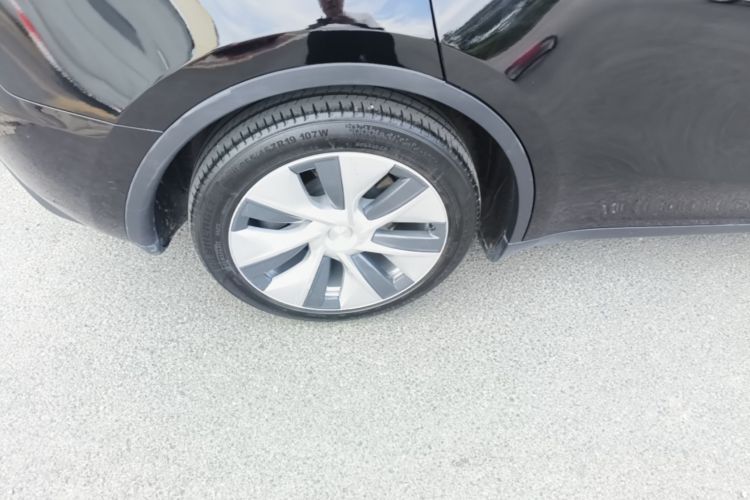 Tesla Model Y 2021 car image #10