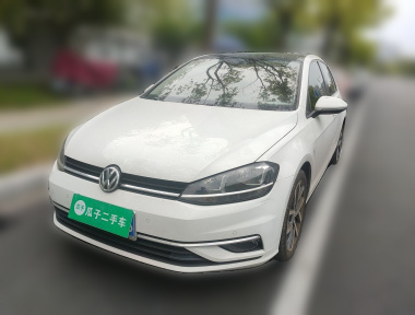 Volkswagen Golf 2019 Volkswagen Golf 2019 car image