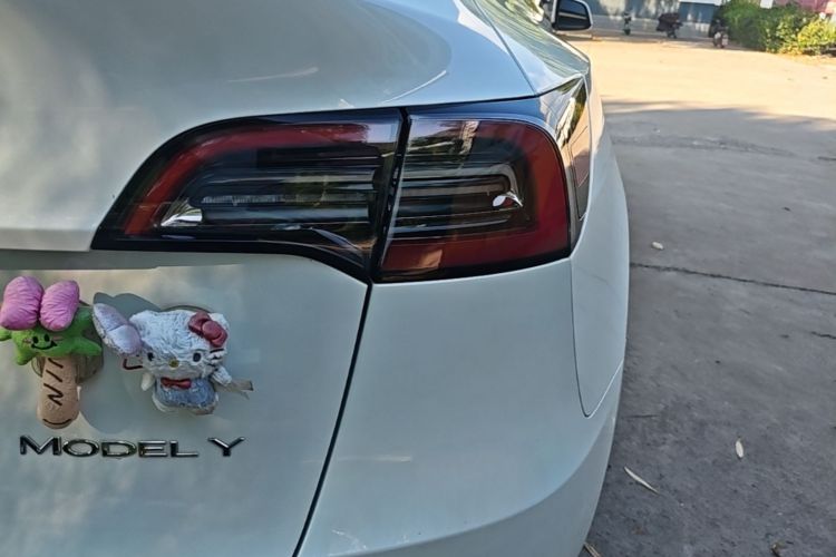 Tesla Model Y 2023 immagine di auto #8