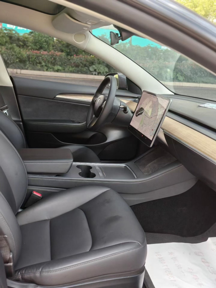 Tesla Model 3 2021 #9 Tesla Model 3 2021 car image #9