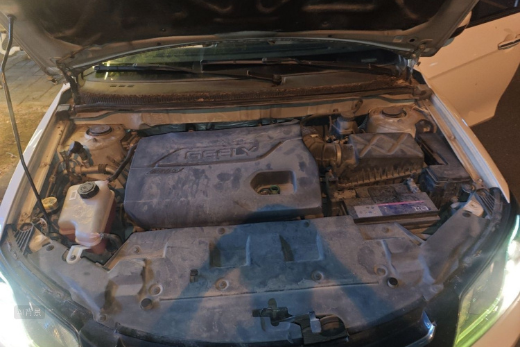GEELY Emgrand 2016 car image #22