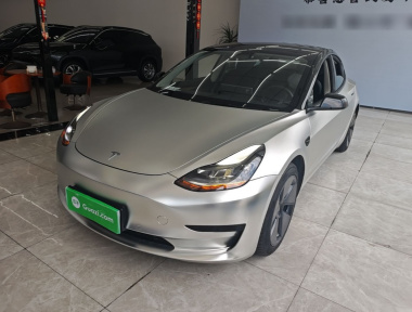 Tesla Model 3 2021 Tesla Model 3 2021 car image