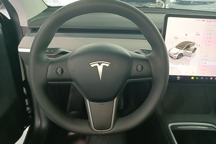 Tesla Model Y 2024 car image #15