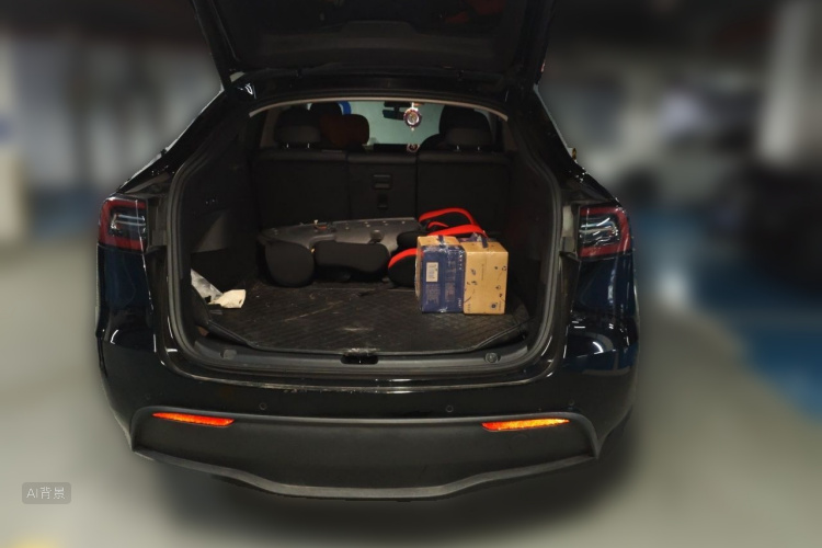 Tesla Model Y 2021 car image #6