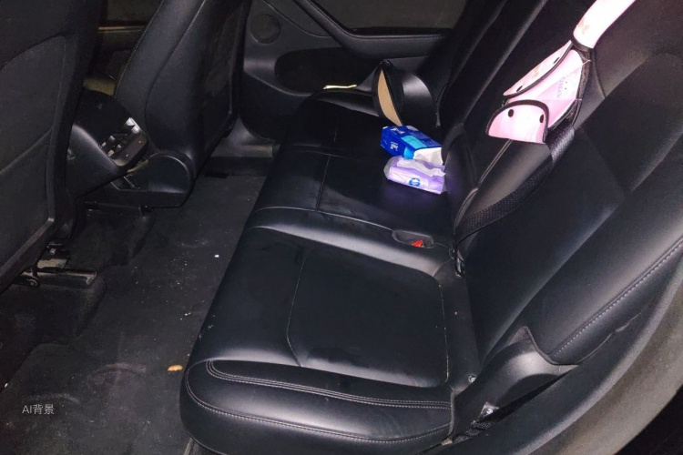 Tesla Model Y 2021 car image #19