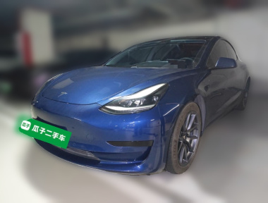 Tesla Model 3 2021 immagine di auto 