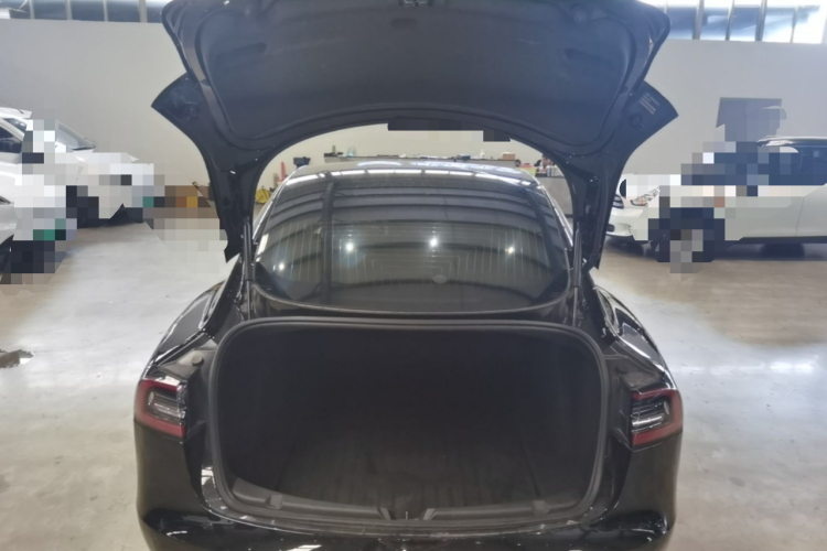 Tesla Model 3 2020 immagine di auto #20