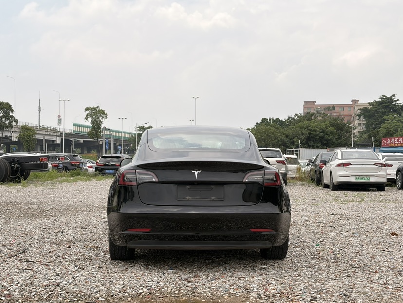 Tesla Model 3 2020 car image #5