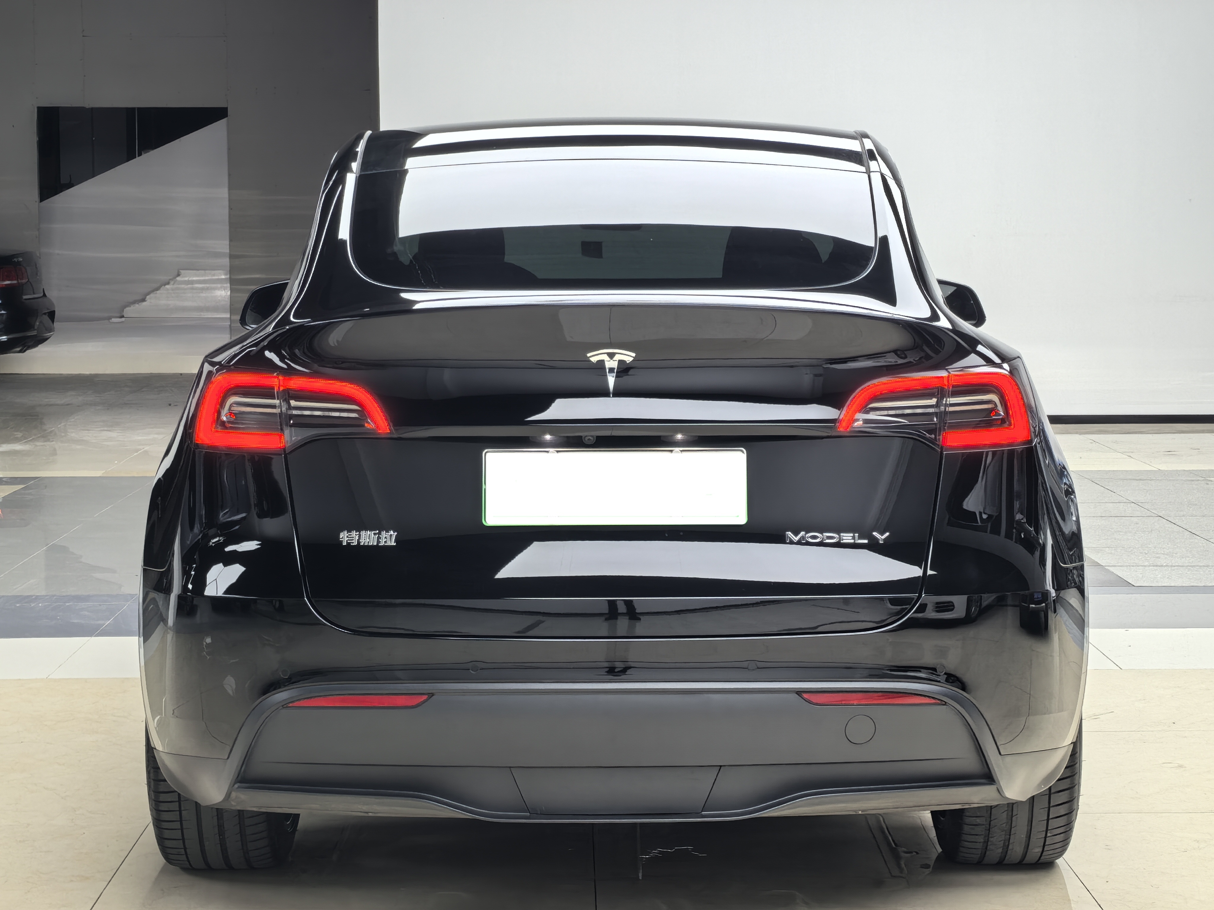 Tesla Model Y 2021 car image #9