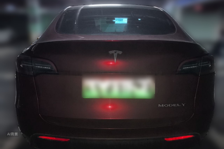 Tesla Model Y 2023 #6 Tesla Model Y 2023 car image #6