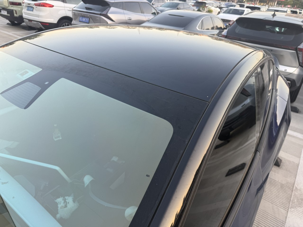 Tesla Model Y 2021 #3 Tesla Model Y 2021 car image #3