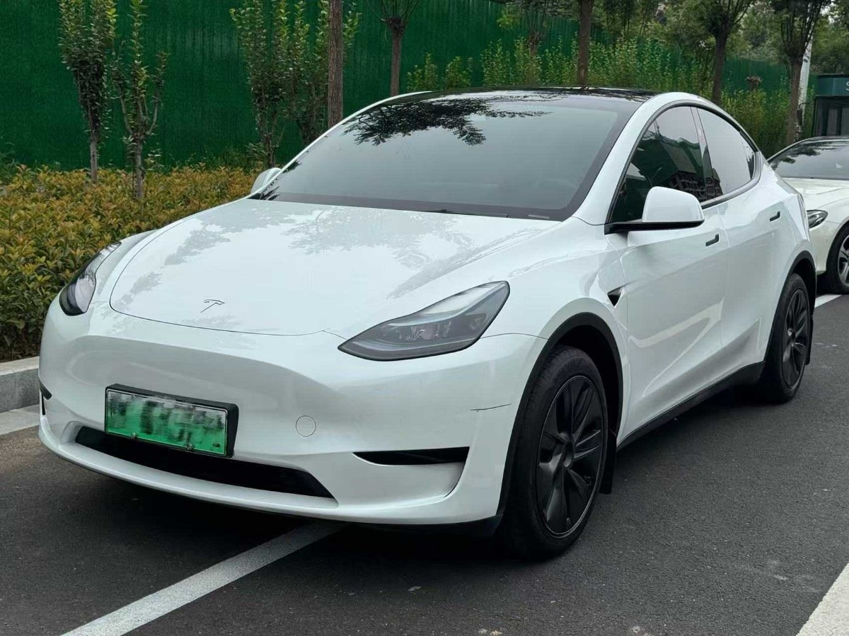 Tesla Model Y 2024 Tesla Model Y 2024 car image