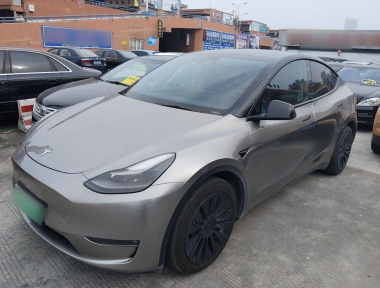 Tesla Model Y 2021 Tesla Model Y 2021 car image