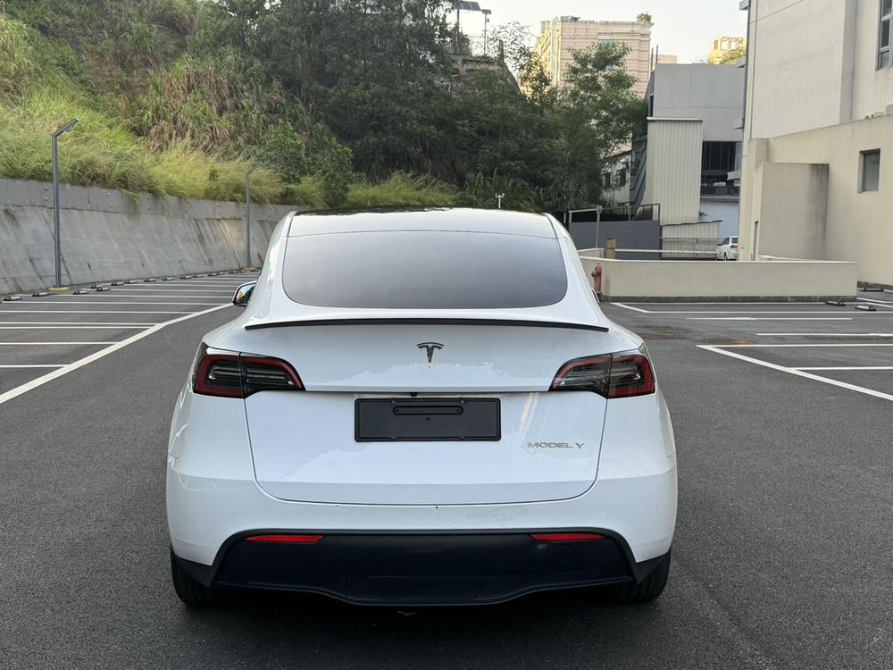 Tesla Model Y 2021 car image #5