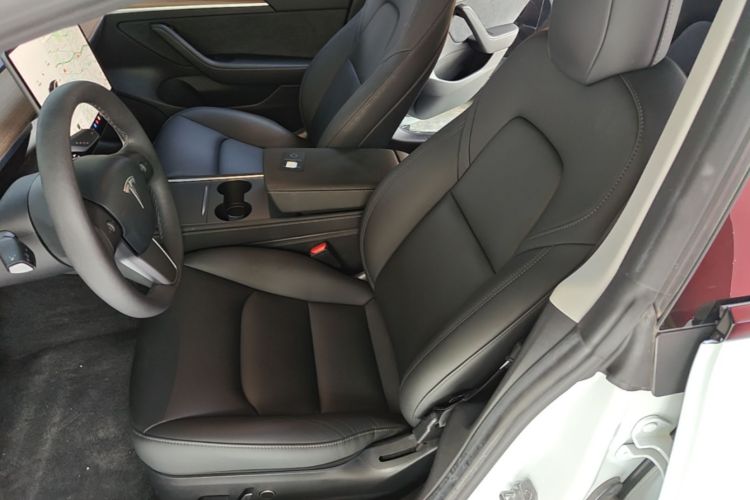 Tesla Model 3 2021 immagine di auto #15