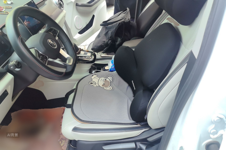 BYD Yuan Pro 2022 car image #17