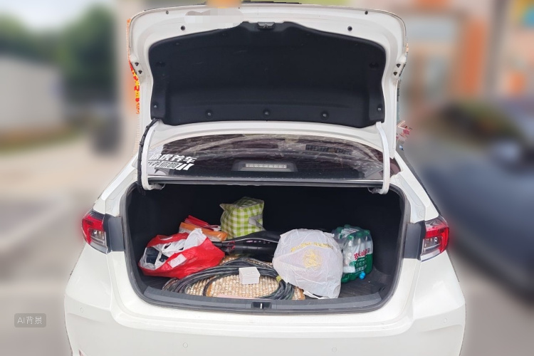 Toyota Corolla 2021 car image #21