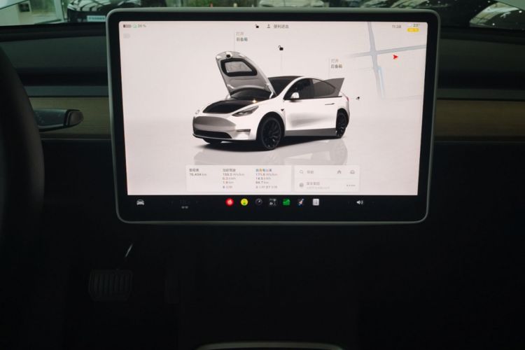 Tesla Model Y 2022 car image #13