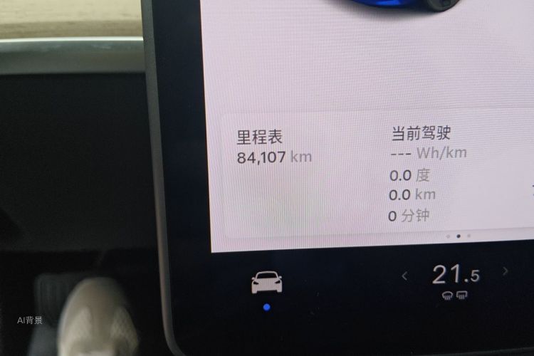 Tesla Model 3 2020 car image #14