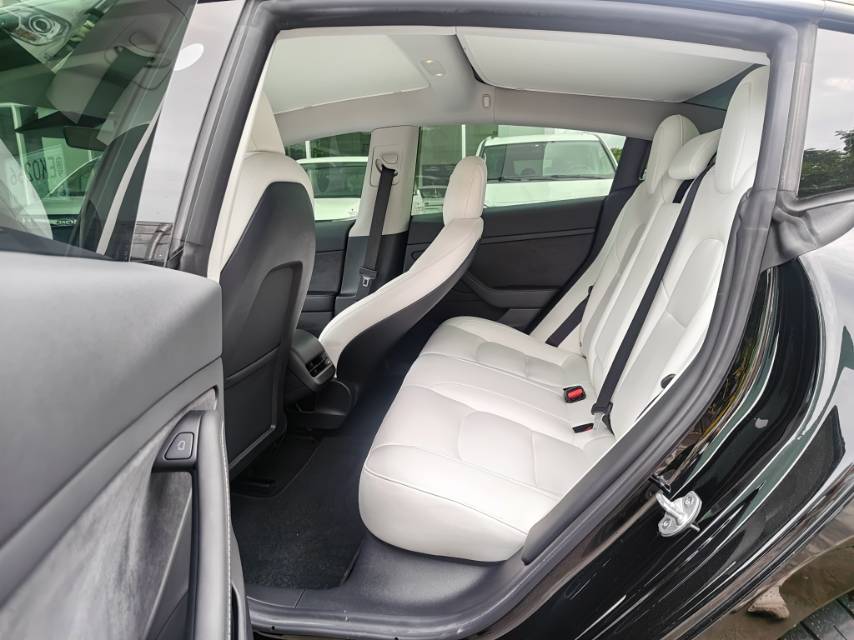 Tesla Model 3 2021 #5 Tesla Model 3 2021 car image #5