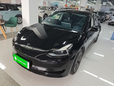 特斯拉 Model 3 2021 汽车图片 