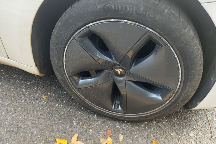 Tesla Model 3 2020 immagine di auto #9
