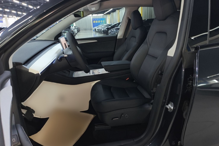 Tesla Model Y 2025 car image #19