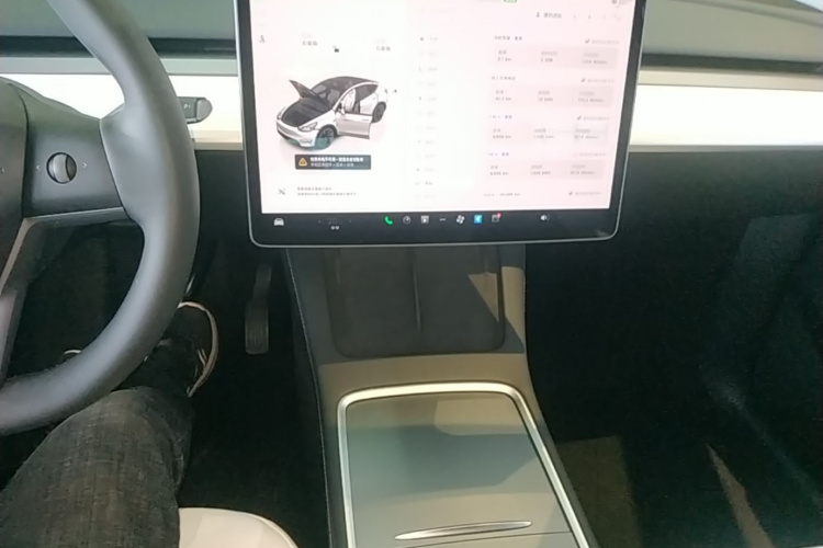 Tesla Model Y 2023 #10 Tesla Model Y 2023 car image #10